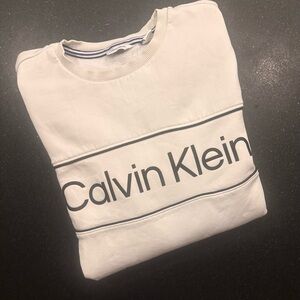 Calvin Klein Crewneck Sweatshirt, Neutral Streetwear, Large, 90s style
